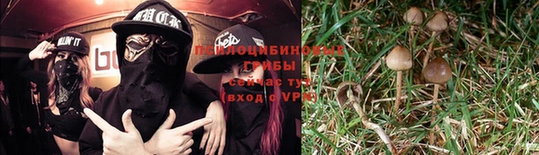 трава Алзамай