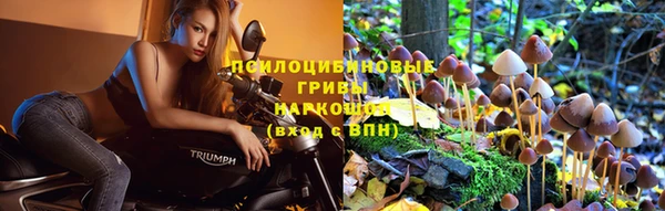 a pvp Алексин