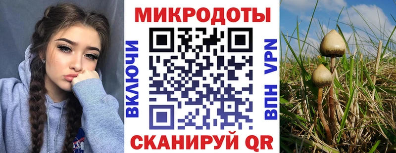 Галлюциногенные грибы GOLDEN TEACHER  Апшеронск 